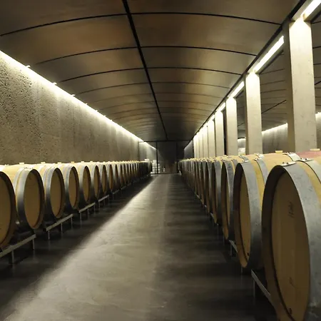 Casa Casparis Villa Maienfeld